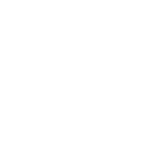 Q&A