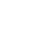 Q&A